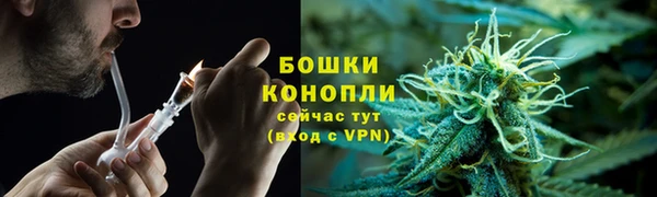 сатива Абинск