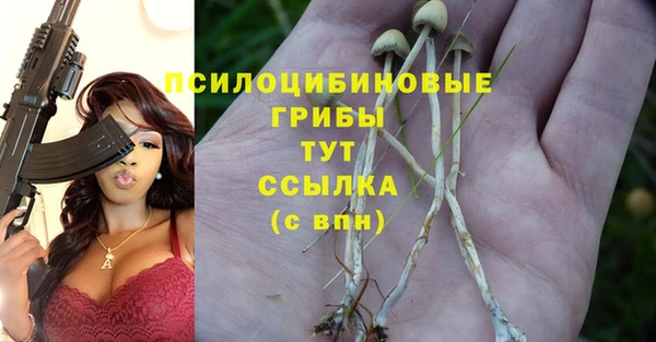 герыч Нязепетровск