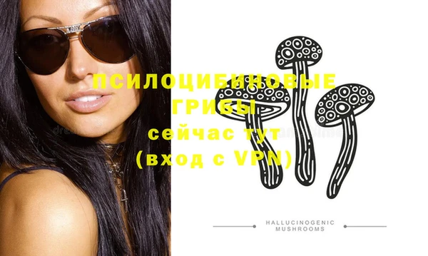 прущая мука Няндома
